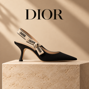 Dior shoes category image