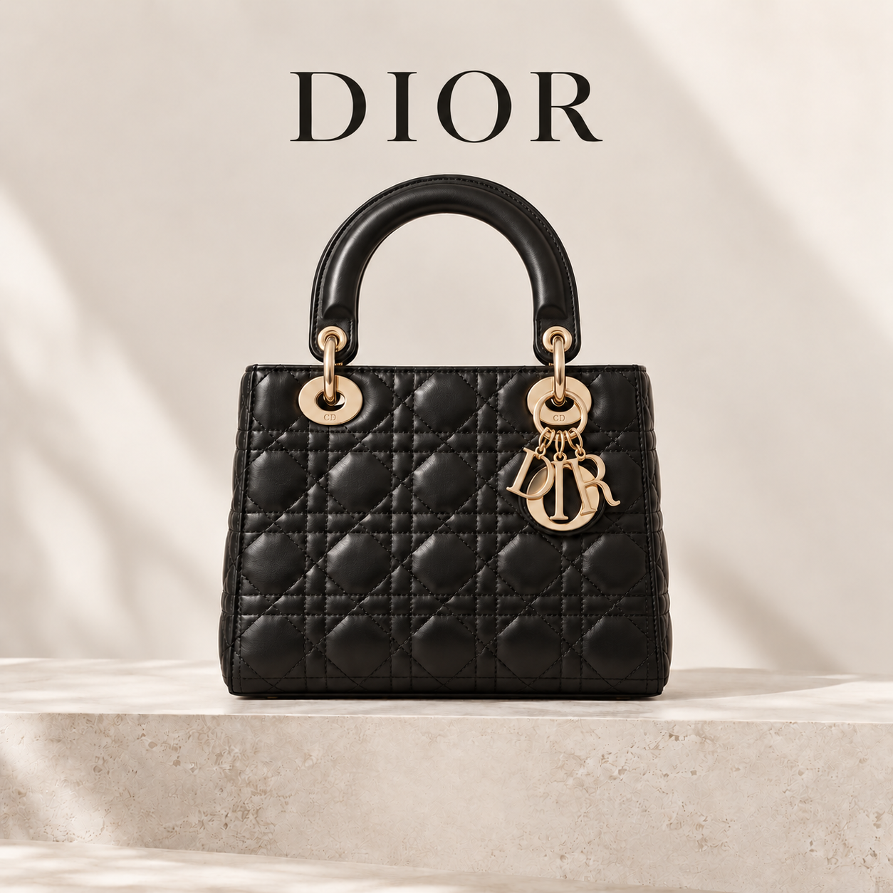 Dior Bags category image