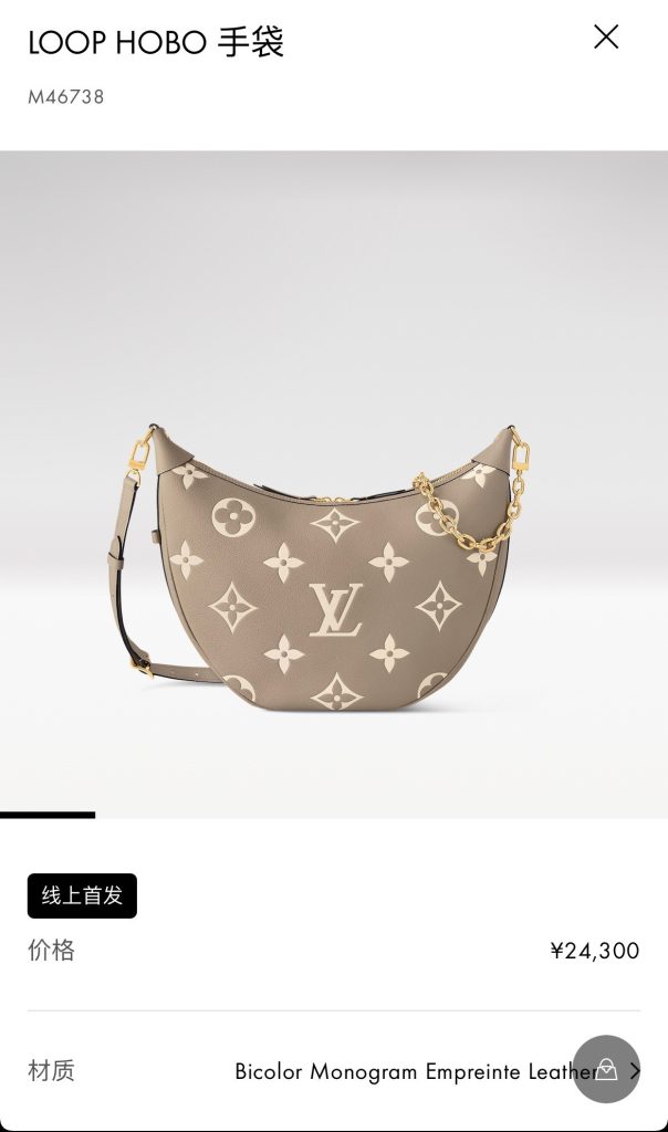 LV M46738 Loop Hobo Bag | Grey