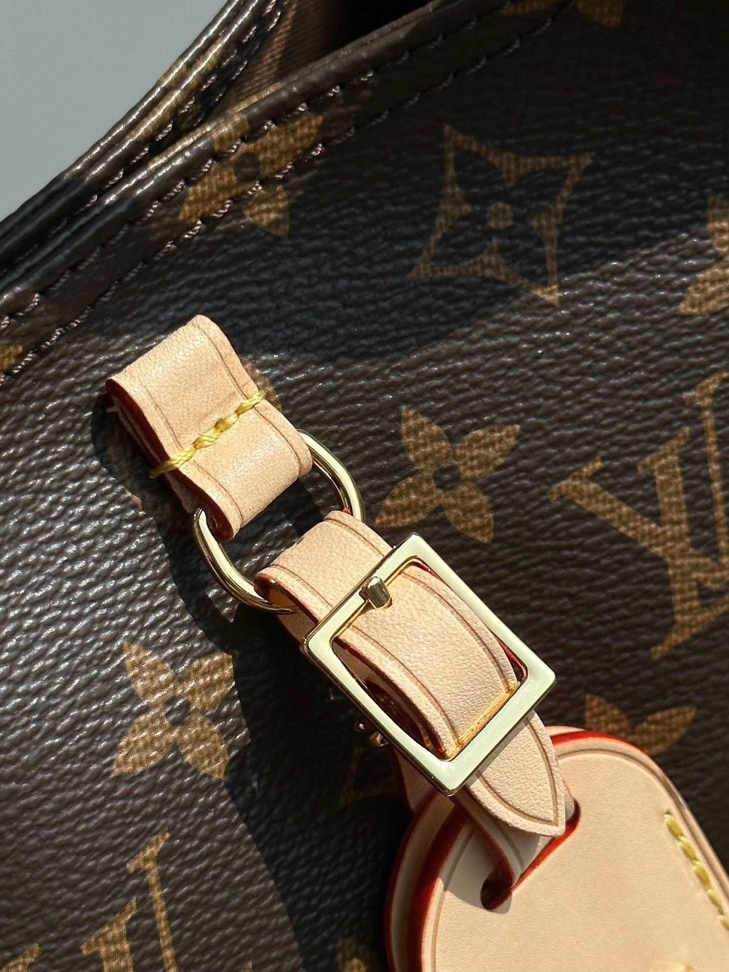 LV M46816 Atlantis Mini Basket Bag | Monogram - 图片 9