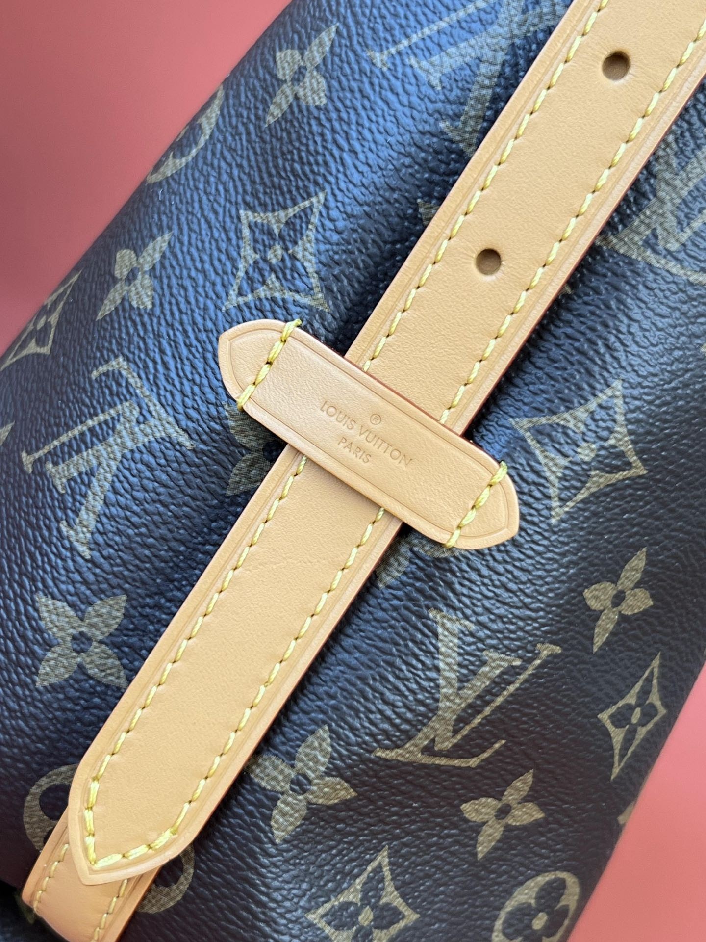 LV M46203 CarryAll Small Bag - 图片 5