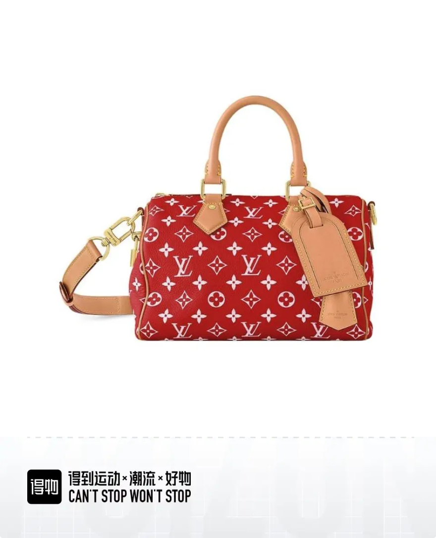 LV M24425 Speedy P9 Bandoulière 25 Bag | Monogram Leather
