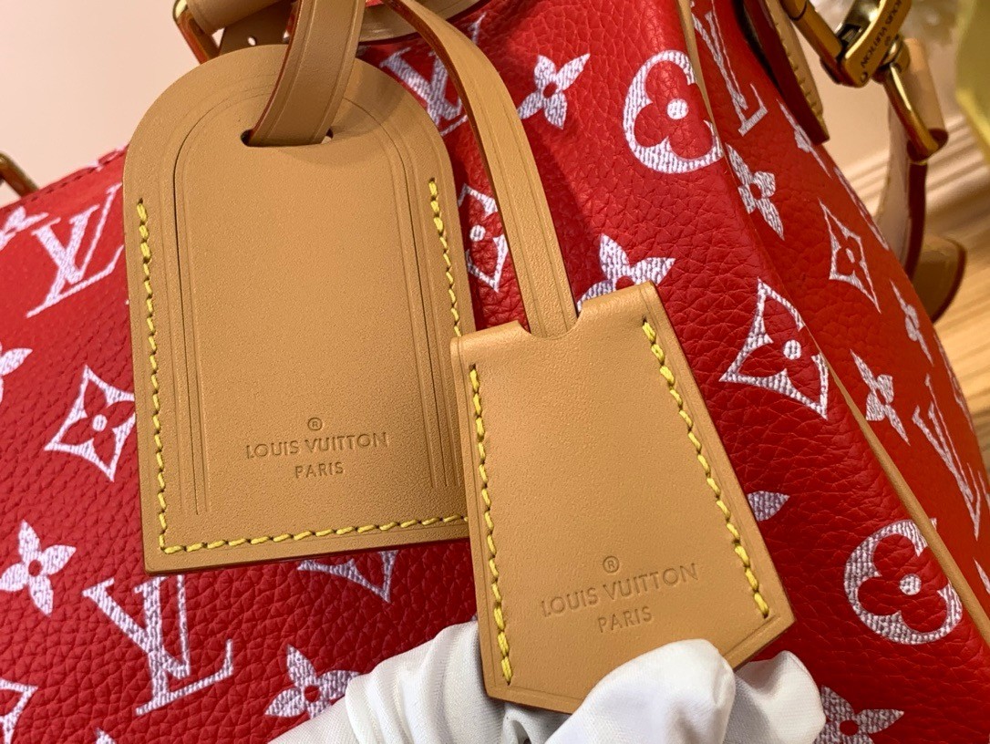 LV M24425 Speedy P9 Bandoulière 25 Bag | Monogram Leather - 图片 14