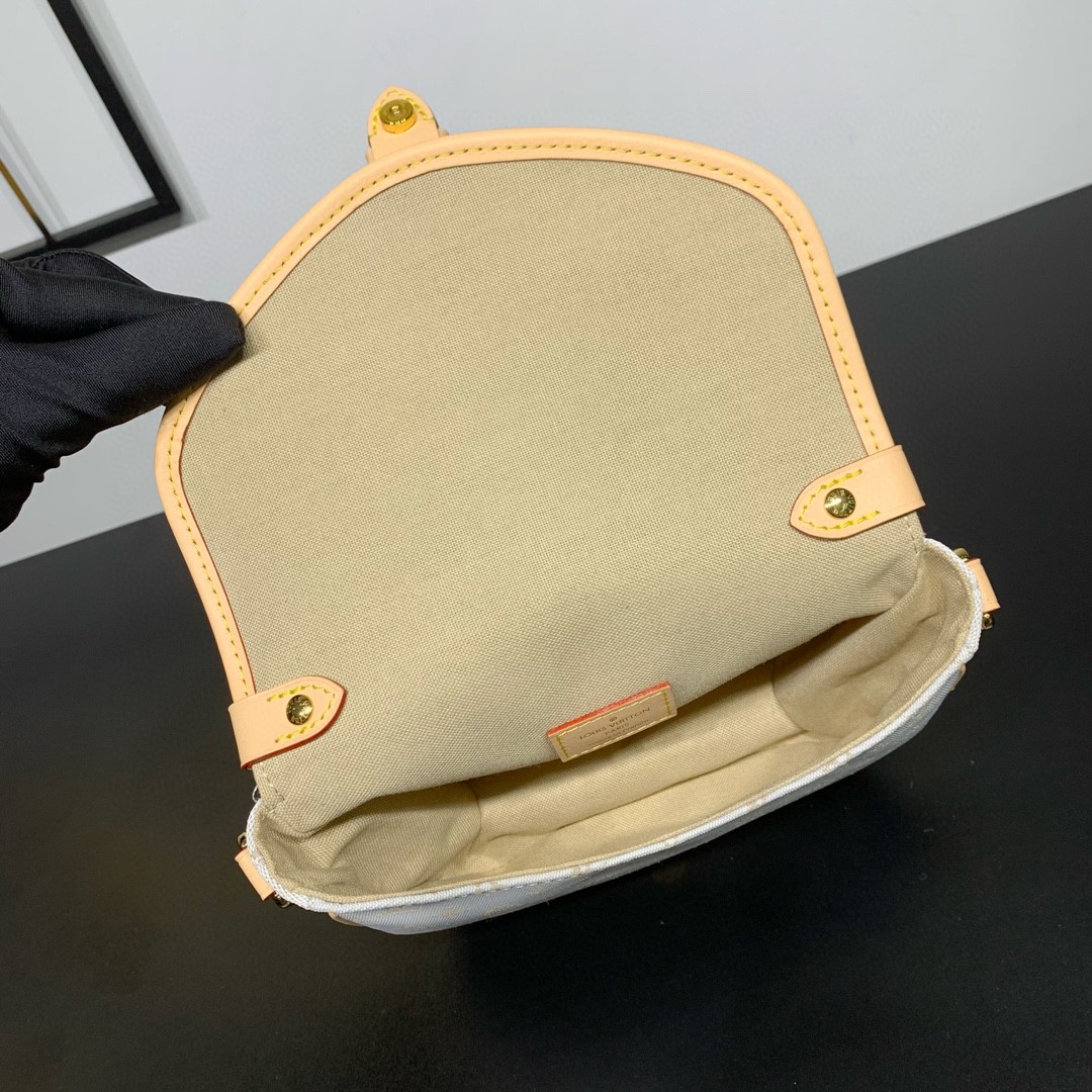 LV M12327 Saumur BB Bag | Twin Star - 图片 8