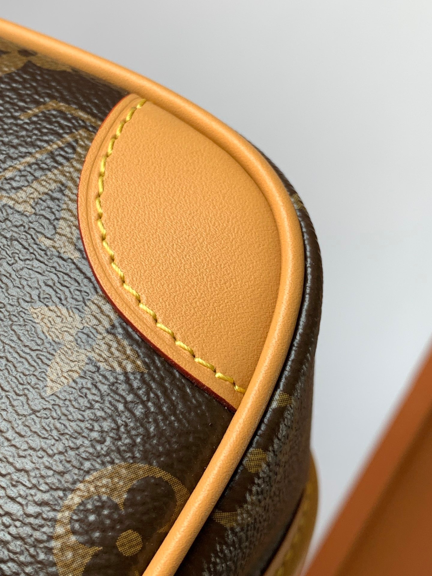 LV M45985 Diane Baguette Bag | Diamond-Quilted Leather - 图片 9