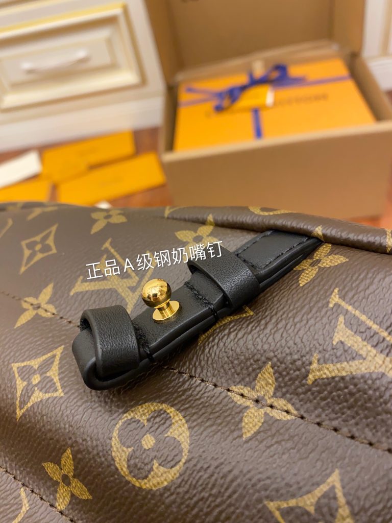 Medium Women’s Backpack (M44874)
