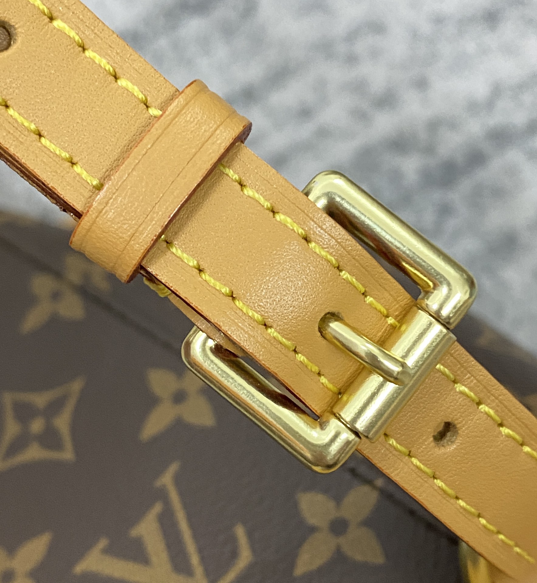 Vintage Montsouris Backpack (M51137) - 图片 9