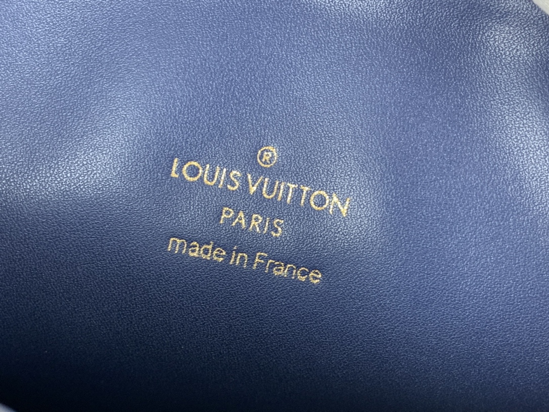 LV M22953 Coussin Small Bag | Blue Monogram Print - 图片 9